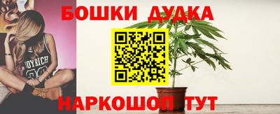 spice Северобайкальск