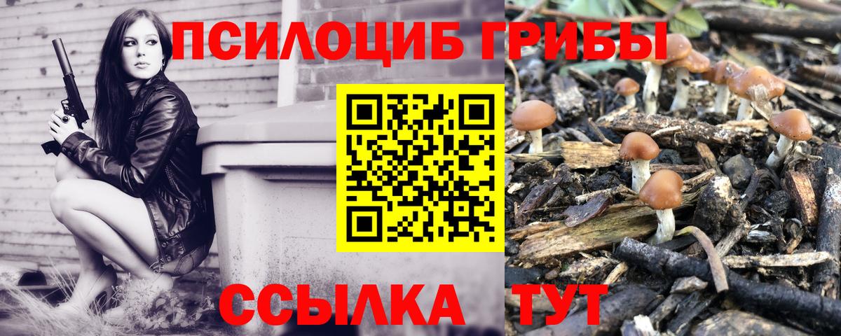 Галлюциногенные грибы мухоморы Обь